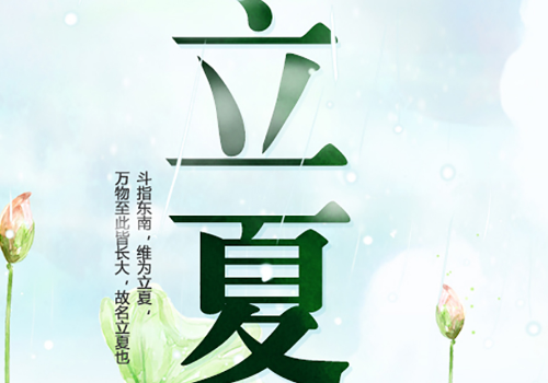 立夏怎么钓鲤鱼 有什么饵料