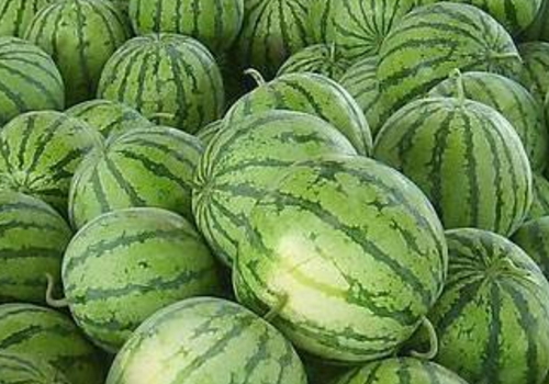 中伏吃什么传统食物好 吃什么水果蔬菜