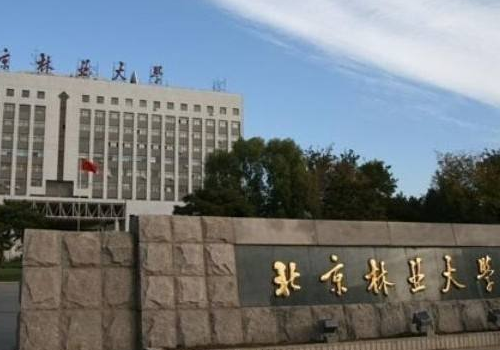 北京林业大学和东北林业大学哪个好 和哈尔滨工程大学哪个好