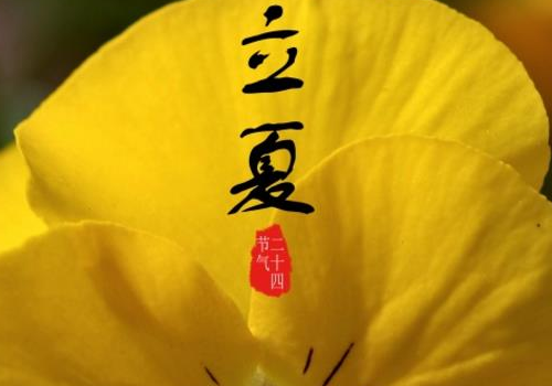 立夏为什么要吃五色饭 为什么要吃倭豆饭