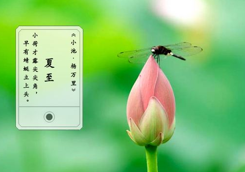 夏至鸡蛋为什么立着 怎么立着