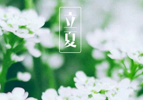 立夏节气能游泳吗 可以理发吗