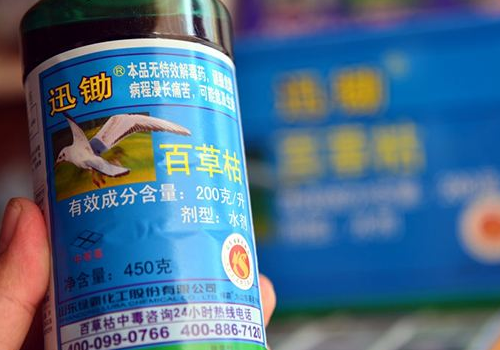 百草枯多久死亡 中毒能活多久