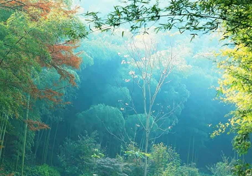 6月份天气怎么样 穿什么衣服