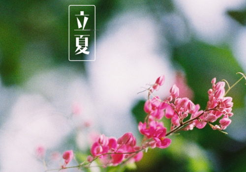 立夏为什么要吃立夏饭 北方吃什么