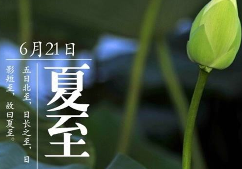 夏至种什么蔬菜 天气的特点是什么