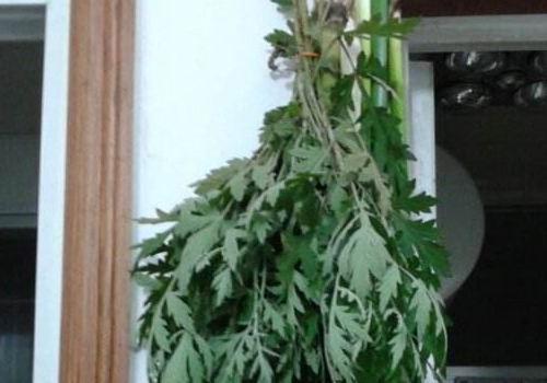 端午节挂艾草有什么寓意 可以提前挂吗