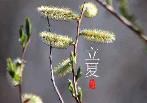 立夏怎么养生 可以吃什么海鲜