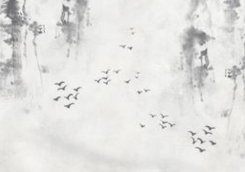 清明节可以去寺庙烧香吗 可以去普陀山拜佛吗