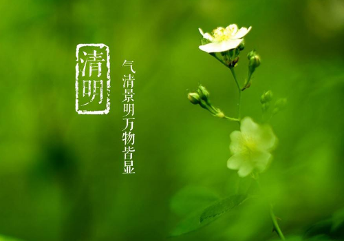 清明节上坟供品放什么水果 放几个