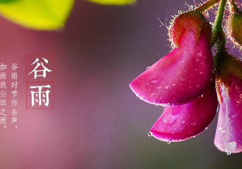 谷雨节气钓鱼用什么饵料 钓鱼技巧介绍