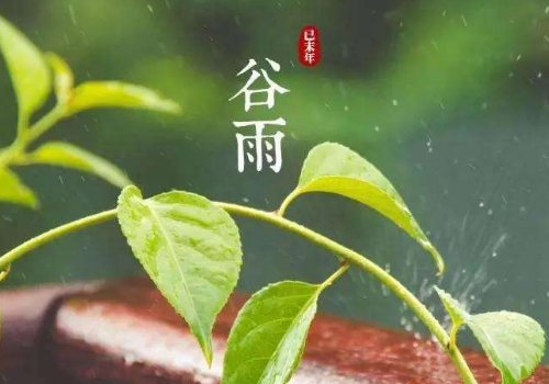 谷雨是什么季节 吃什么蔬菜好
