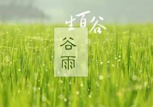谷雨会下雨吗 为什么祭仓颉