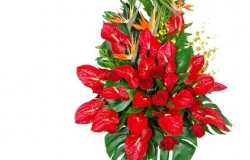 深圳开业花篮哪家好？