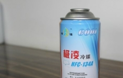 冰柜加雪种多少钱 加雪种的方法是怎么样的