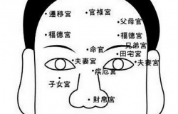 颧骨高的男人面相如何呢