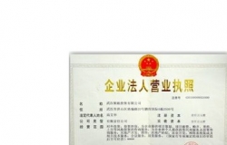 网络公司名字有哪些
